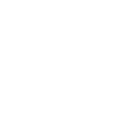 icon feng shui