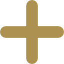 icon plus